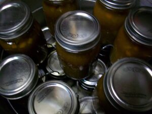 homestead progress and projects…