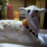 lamb cake with white royal icing decorated with shredded coconut "wool" and dried fruit