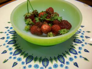 tiny fresh strawberries in a small lime green pyrex bowl atop a vintage plate with a leaf pattern