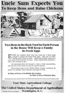 CHICKENS: Hens across America!