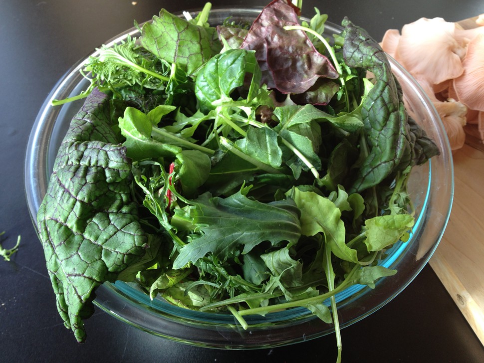 a bowl of fresh salad greens