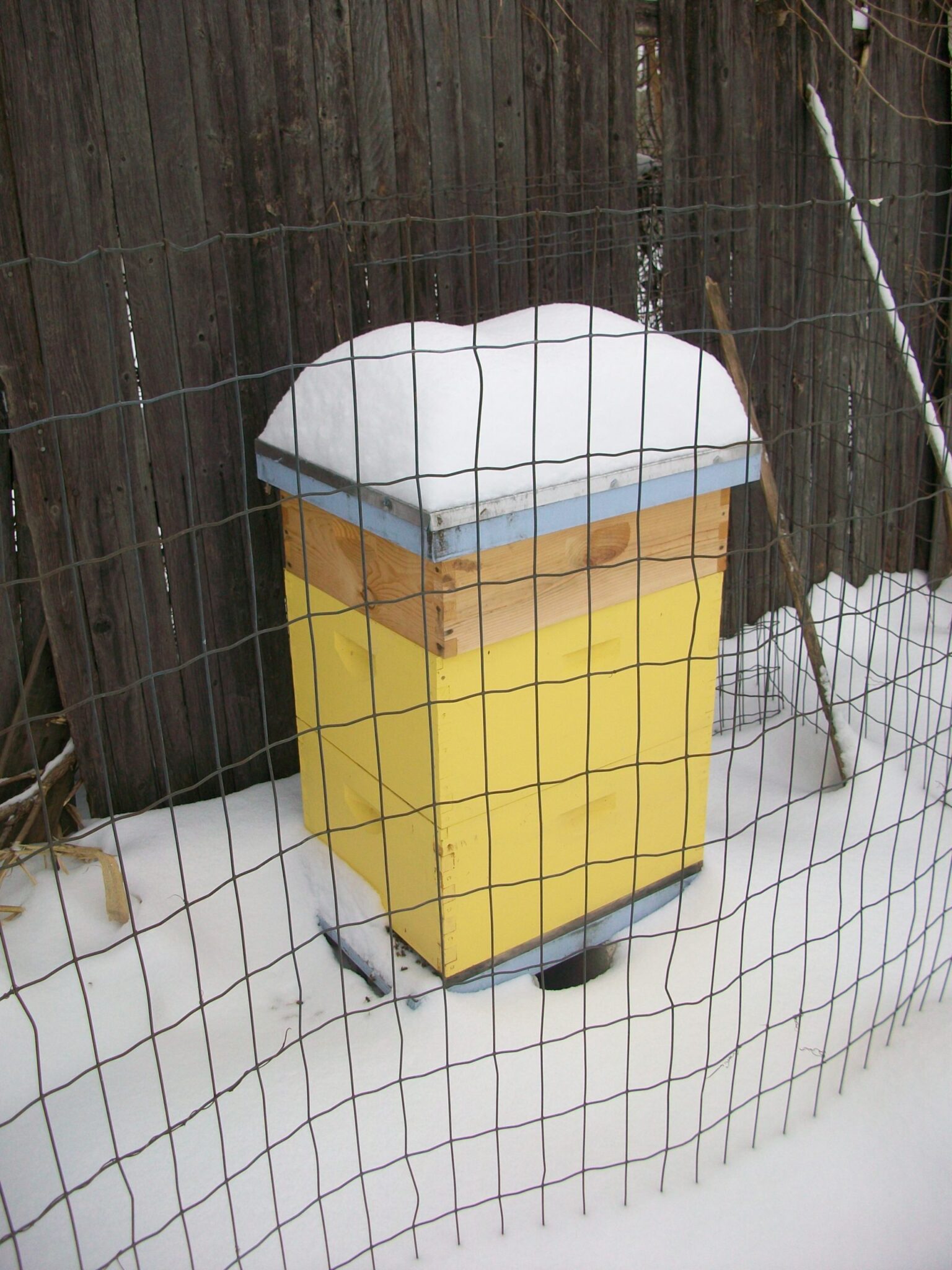 a yellow beehive in a snow drift