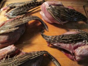 COOKING: tamale town and the broken heart club