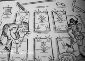 URBAN FARM: roots and renderings