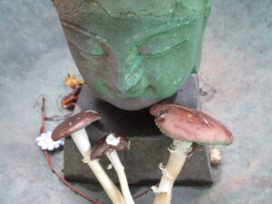 URBAN FARM: mycology madness… IT’S ALIVE