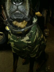tough guy