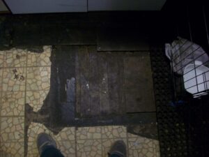 URBAN FARM/HOME: the troubles…