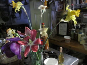 HOME: on love, loss, and living: scenes from a hopeful past