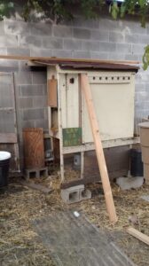 CHICKENS: Coop dreams, and some very amateur carpentry