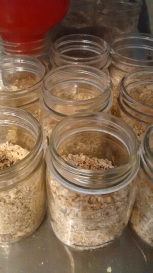 COOK: Mason-Jar Mornings & Meal Prep