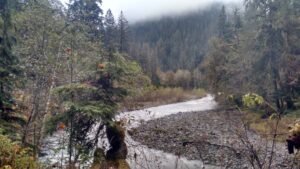 BACKPACKING: Olympic National Park’s Enchanted Valley in Fall