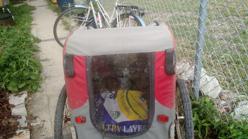 an enclosed bike trailer for dogs, but hauling a bag of chicken feed.