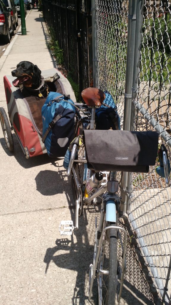 Doggy Ride dog trailer Ortleib panniers Brooks saddle Peugeot mixte