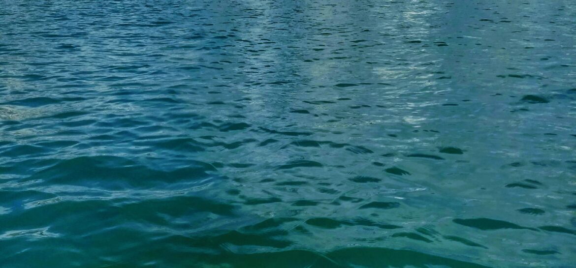 PADDLEBOARD: Monroe Harbor (maiden voyage)