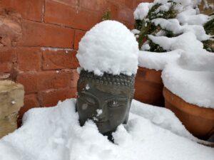 HOME: Snowpocalypse, snow days, and an extremely chill Buddha