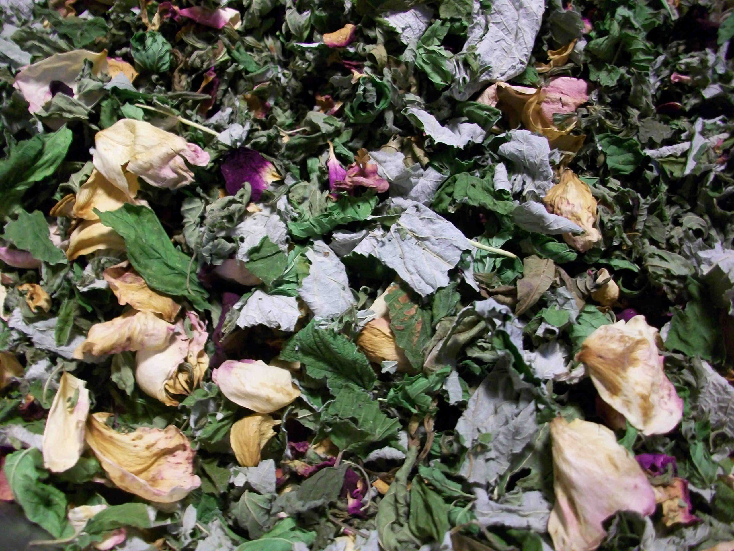 Knead me, bake me…