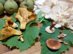 COOK: Lugnasadah Venison Jagerschnitzel with Wild Mushrooms