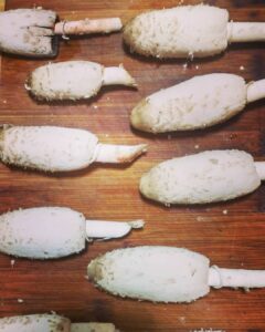 SUSTENANCE: The Great Pumpkin Feast