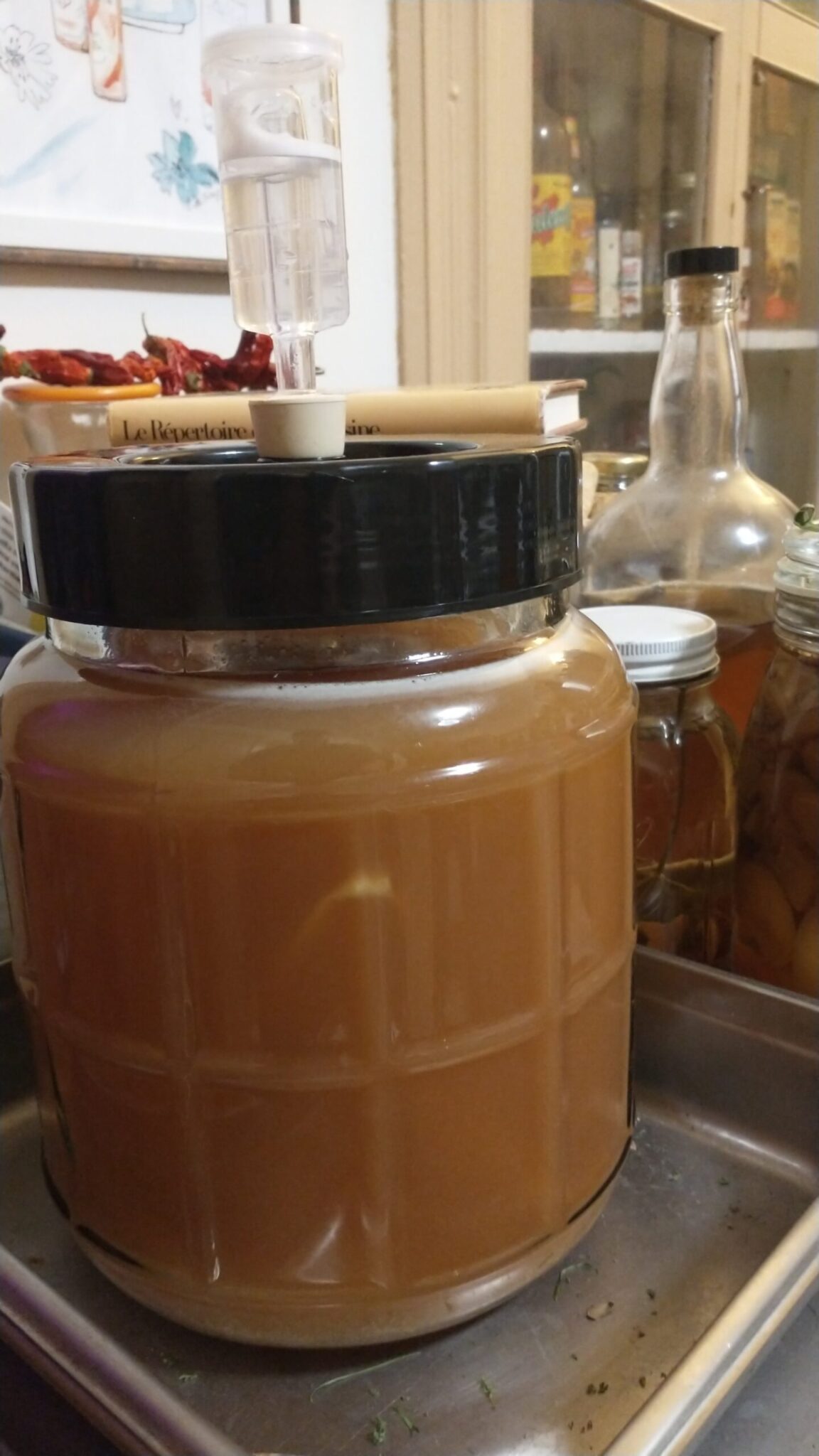 a demijohn of crabapple hard cider fermenting on a kitchen counter.