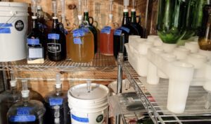 Jugs and carboys and buckets of fermenting beer, wine, and mead in a basement homebrewery, along with some bottling equipment