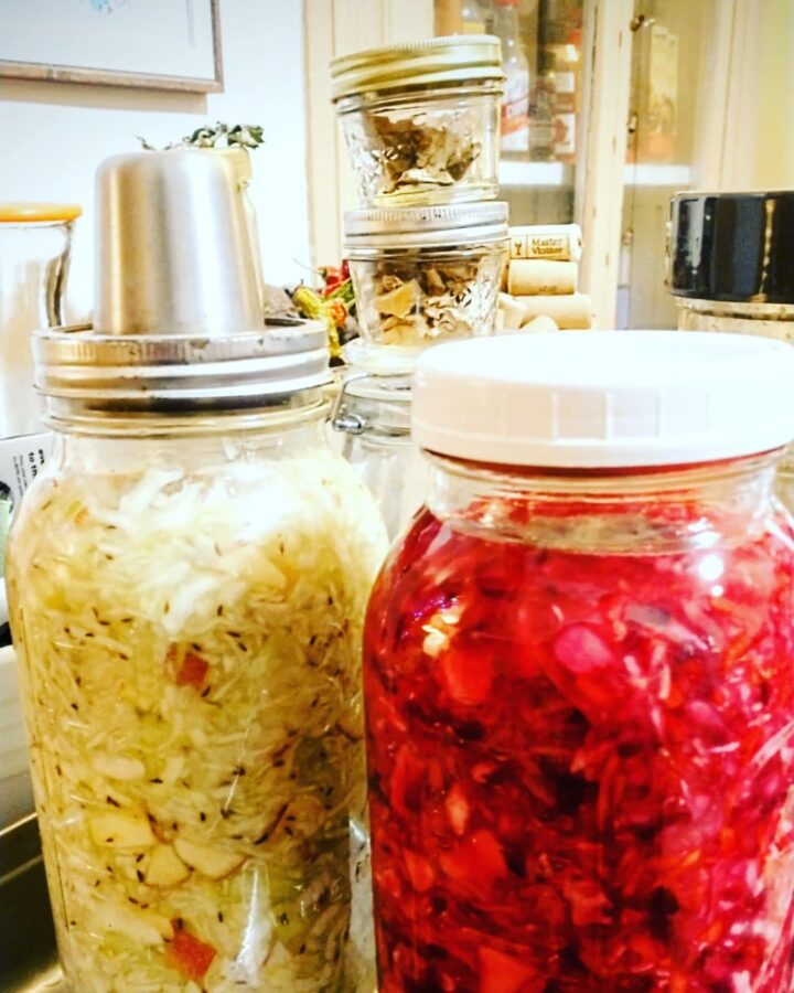 two half gallon mason jars filled with homemade sauerkraut. one has a stainless airlock lid and the other has a white plastic lid.