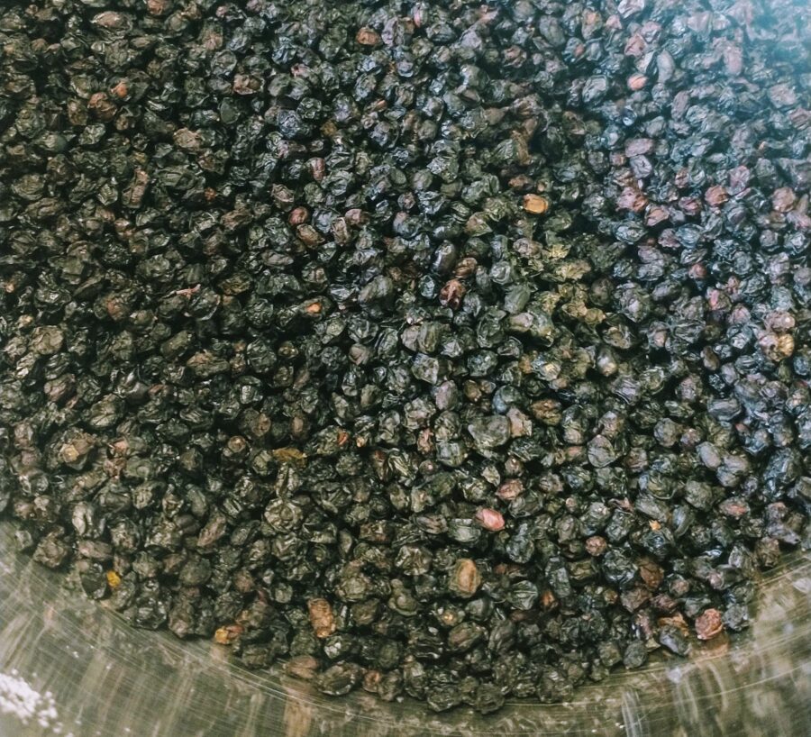 dried elderberries.