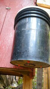 DIY Chicken coop bucket waterer with poultry nipples for backyard chickens small farm homestead solutions and guide