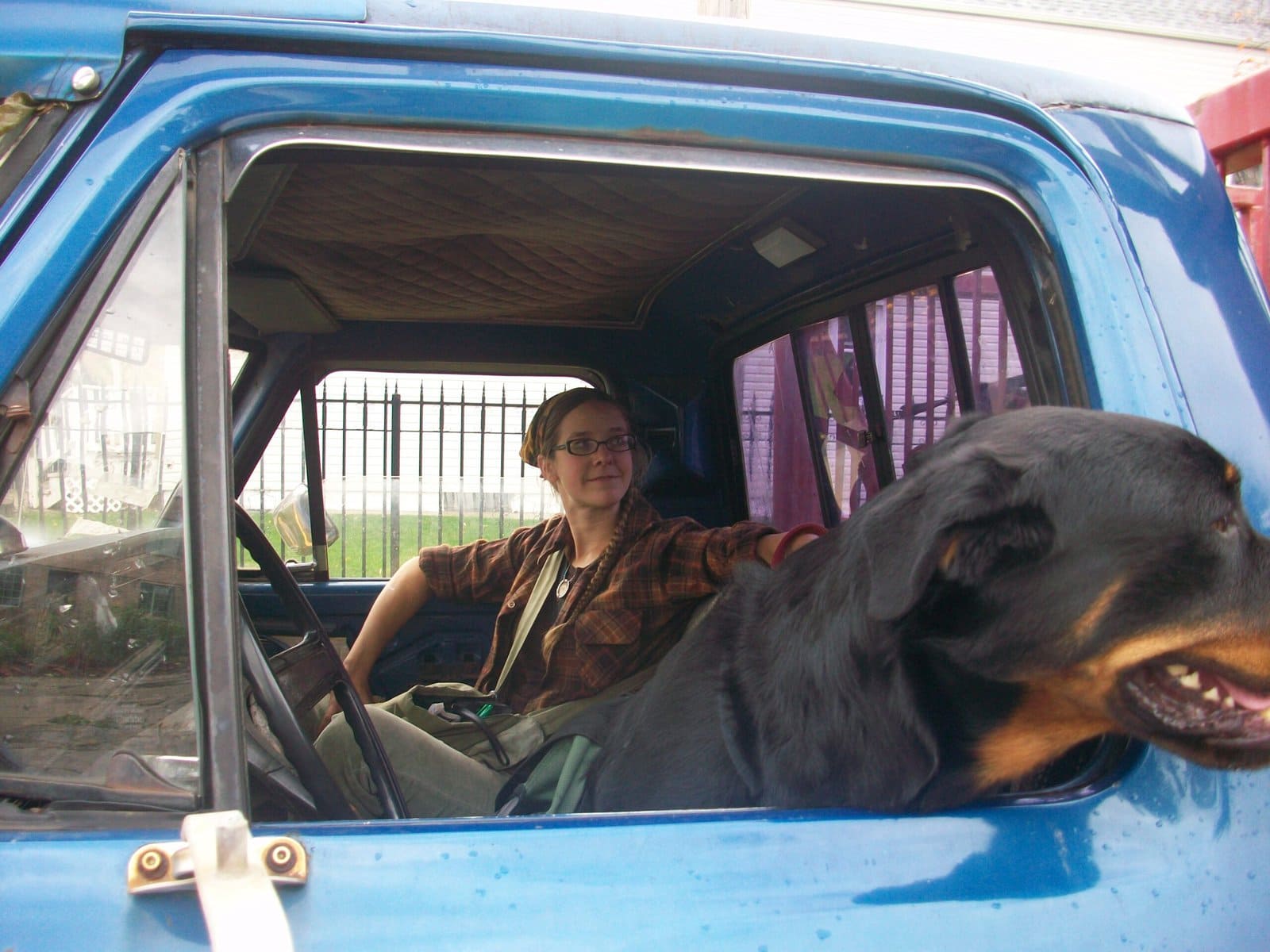 a dog looks out the driver's side window of a big vintage pickup truck, while the author looks on from the passenger seat