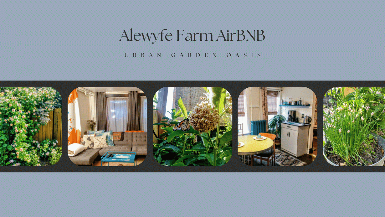 A filmstrip-style header image, with snapshots of the Alewyfe Farm AirBNB listing with garden and interior