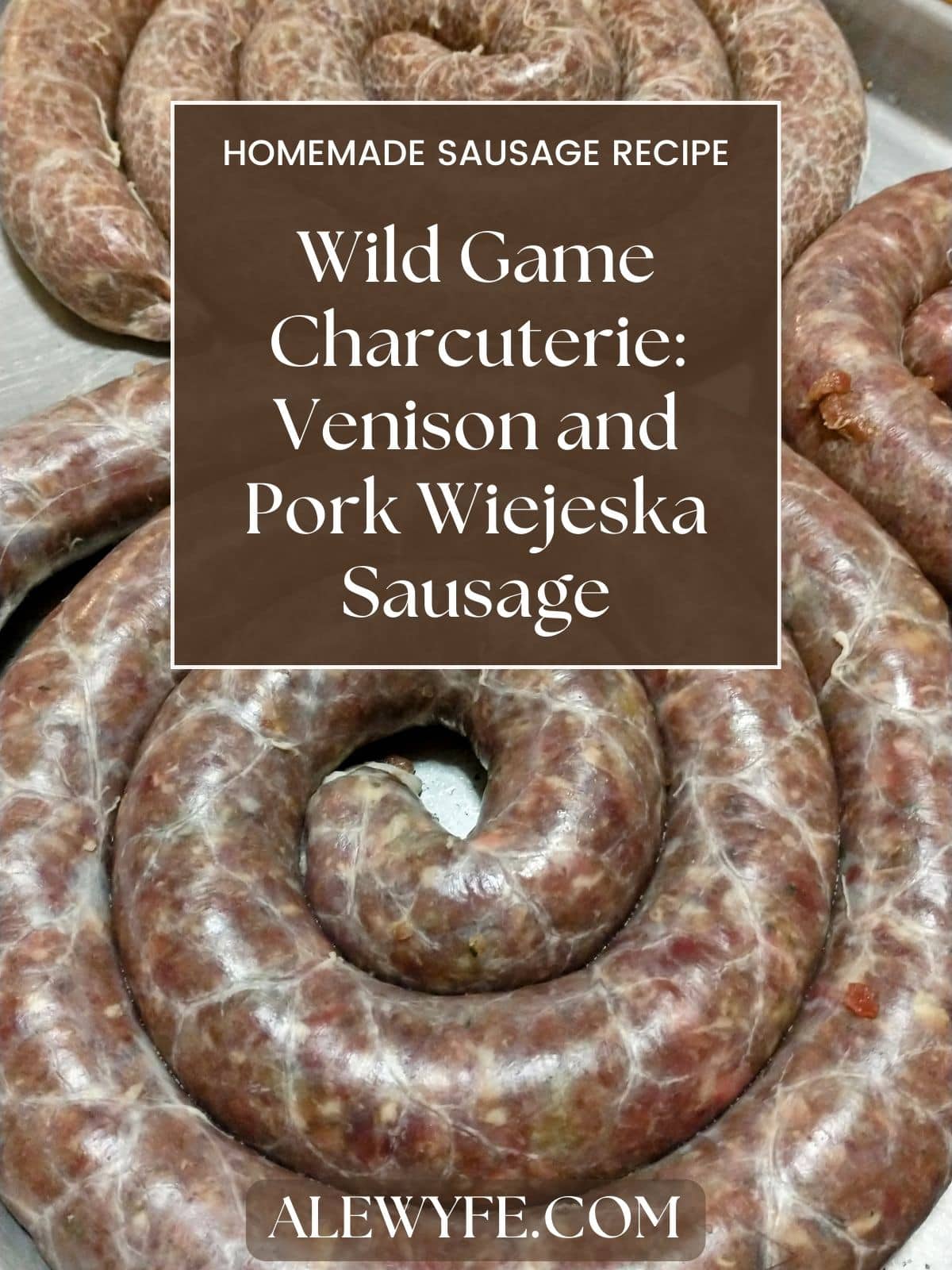 title page for wild game venison polish sausage recipe... two coils of freshly stuffed sausage in the background behind the title text