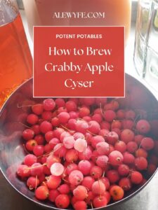 Ingredients for crabapple hard cyser: a gallon jug of fresh pressed apple cider, honey, and a bowl of frozen red crabapples text reads, "alewyfe.com potent potables how to brew crabby apple cyser"