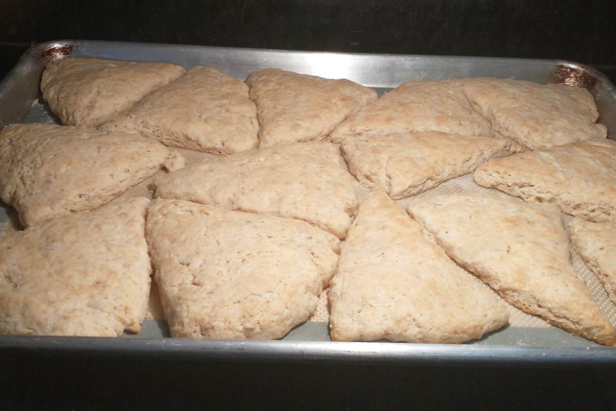 a metal baking tray in the oven with scones baking. they are a light golden brown and almost done.