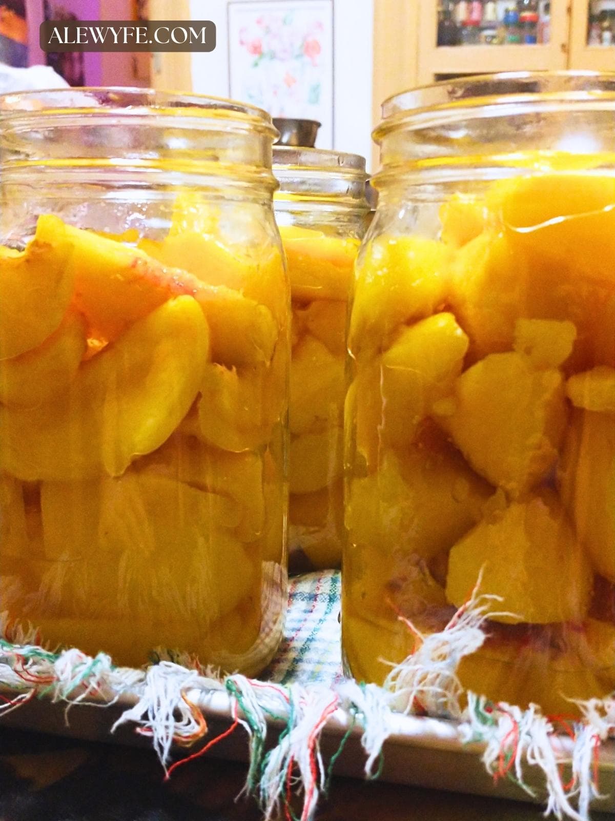 profile view of wide-mouth quart canning jars filled with peach slices about to be topped up with spiced cinnamon simple syrup before processing