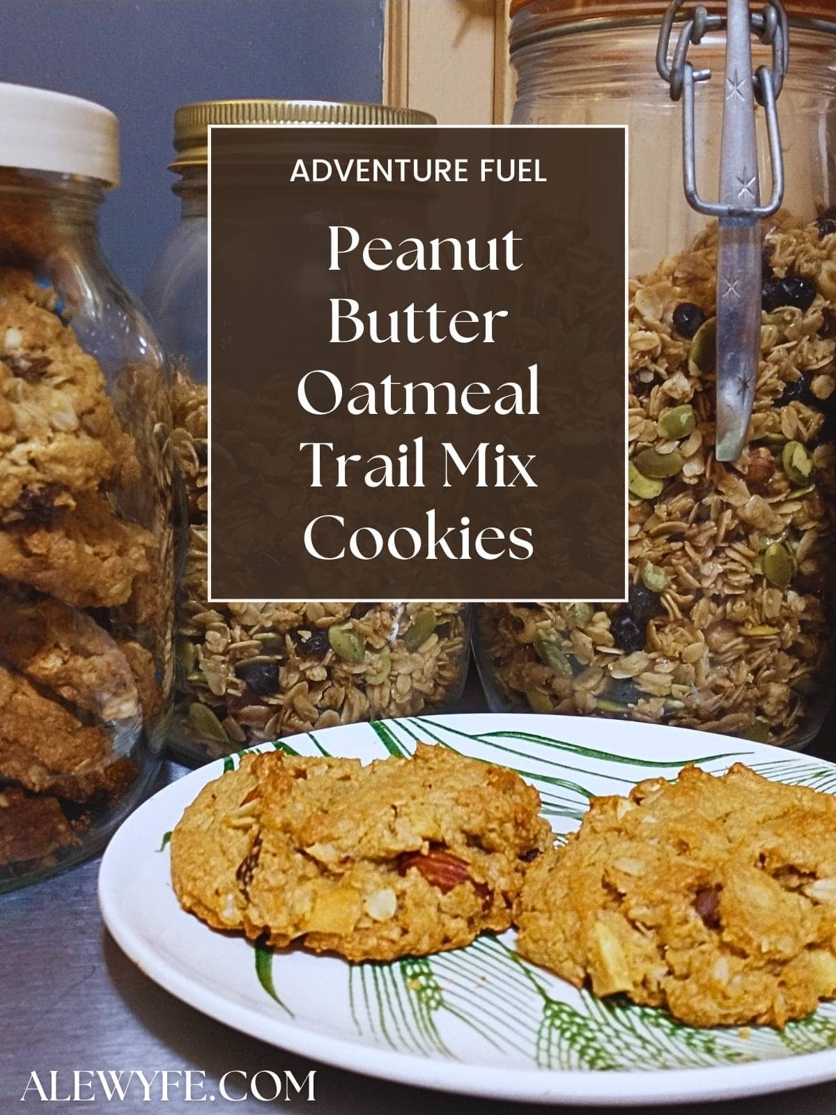 text box over image of cookies on a plate reads, "adventure fuel peanut butter oatmeal trail mix cookies alewyfe.com"