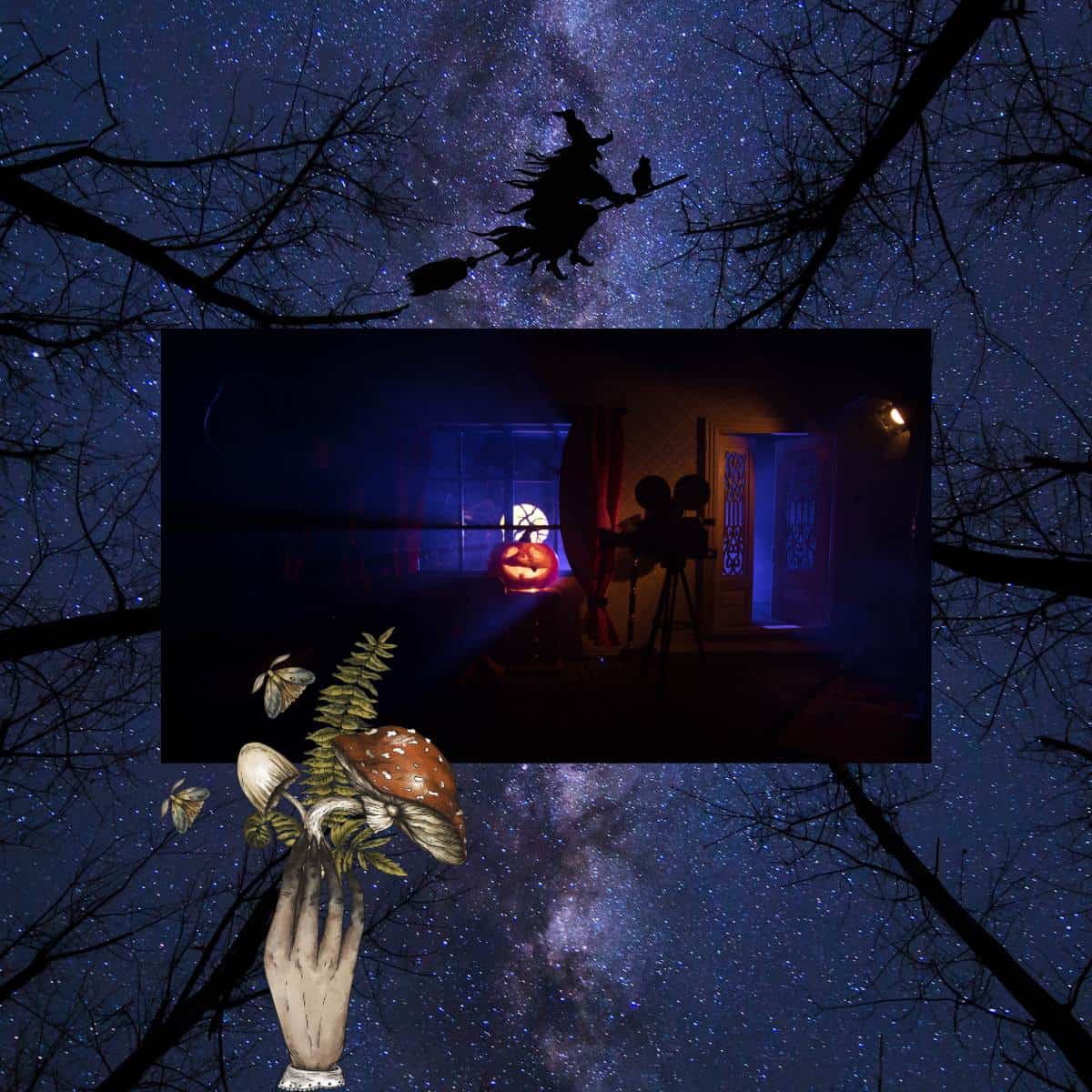 spooky nighttime photo collage of forest silouette, the milky way, a jack-o-lantern in a bedroom window, and a hand picking mushrooms and ferns