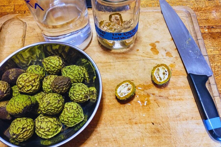 a bowl of underripe slightly shriveled black walnuts sitting on a cutting board with a large chef's knife, a halved walnut, a quart mason jar, and a bottle of vodka