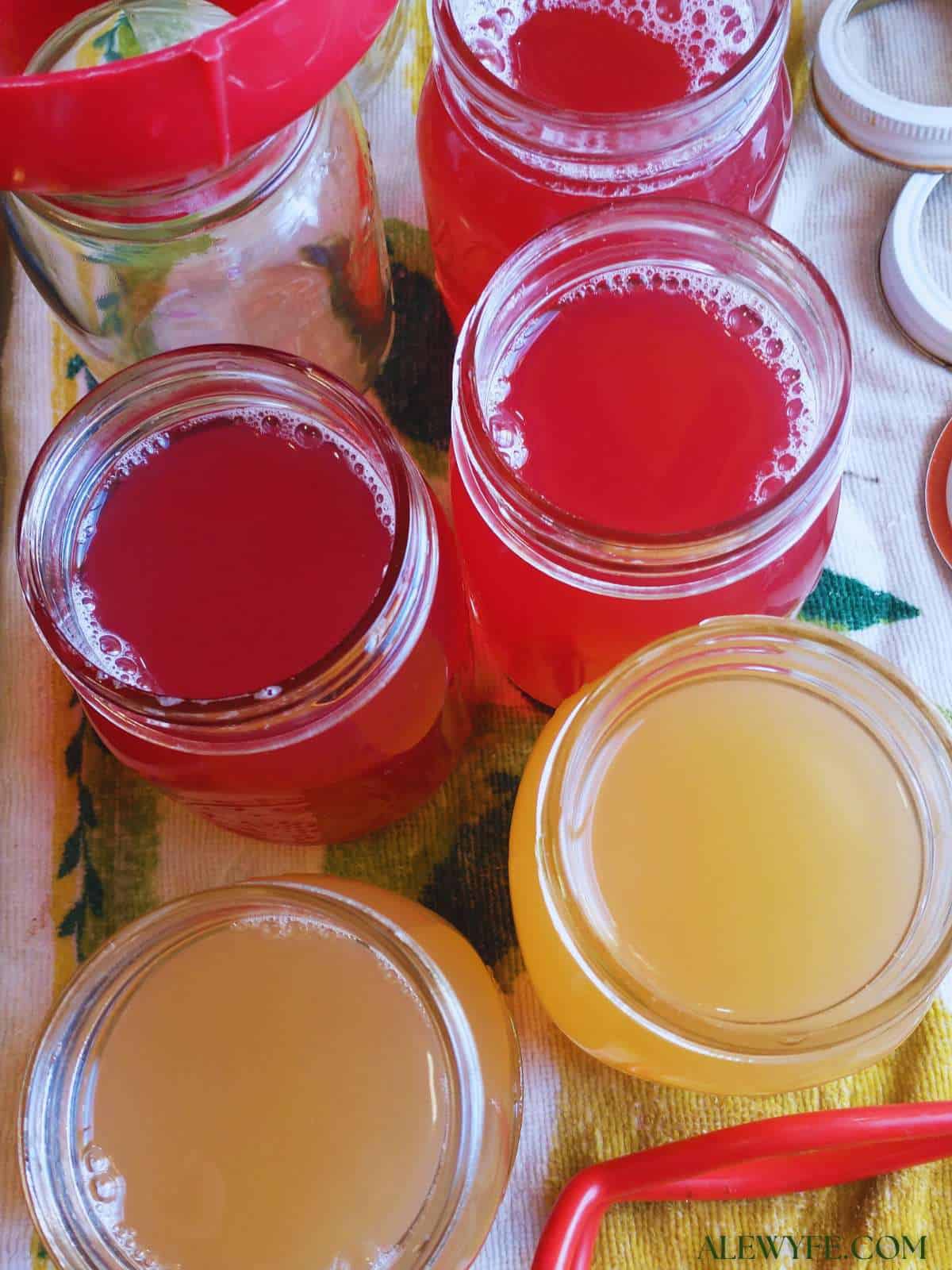 jars of freshly made white grape juice and cran-grape juice ready for lids and canning