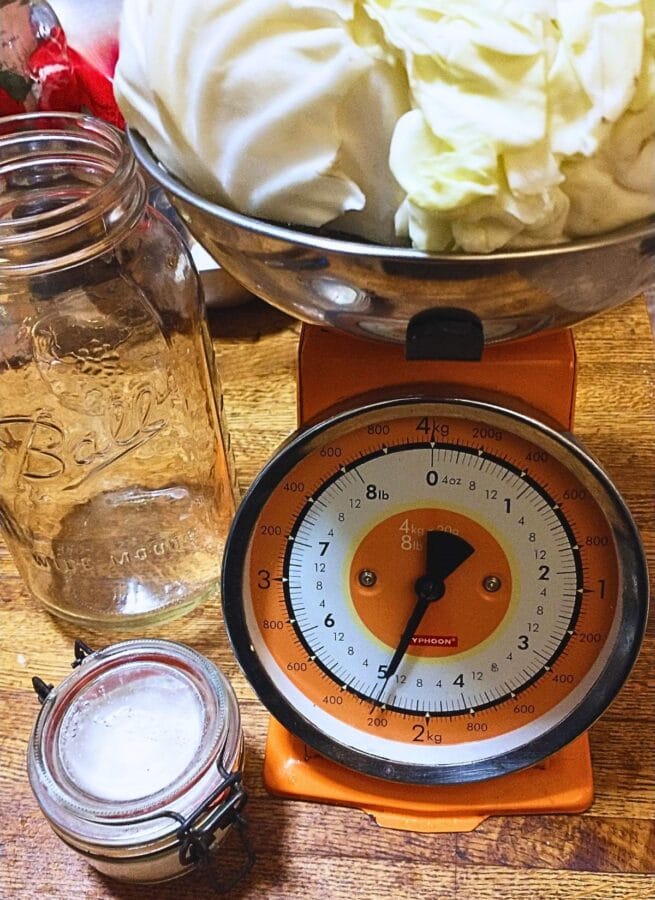 weighing cabbage on a kitchen scale before making kraut