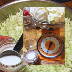 FERMENT: How to Make Homemade Sauerkraut
