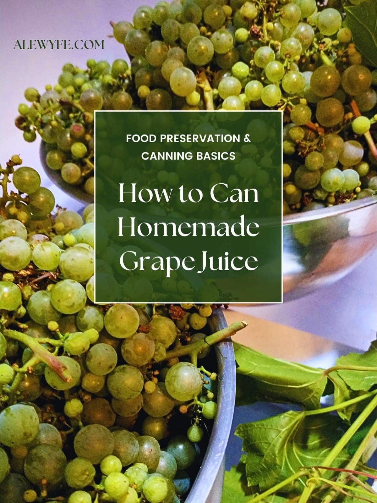 title image for post, text reads, "food preservation and canning basics. how to can homemade grape juice. alewyfe.com" above a photo of two stainless bowls of small green grape clusters and a grape vine