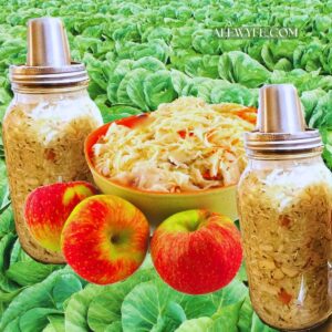 jars of sauerkraut with stainless airlocks, with a bowl of cabbage and ripe apples silhouetted against a field of green cabbage