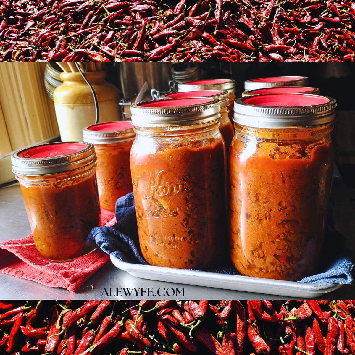 CANNING FiveAlarm Venison (or Beef) Chili ALEWYFE