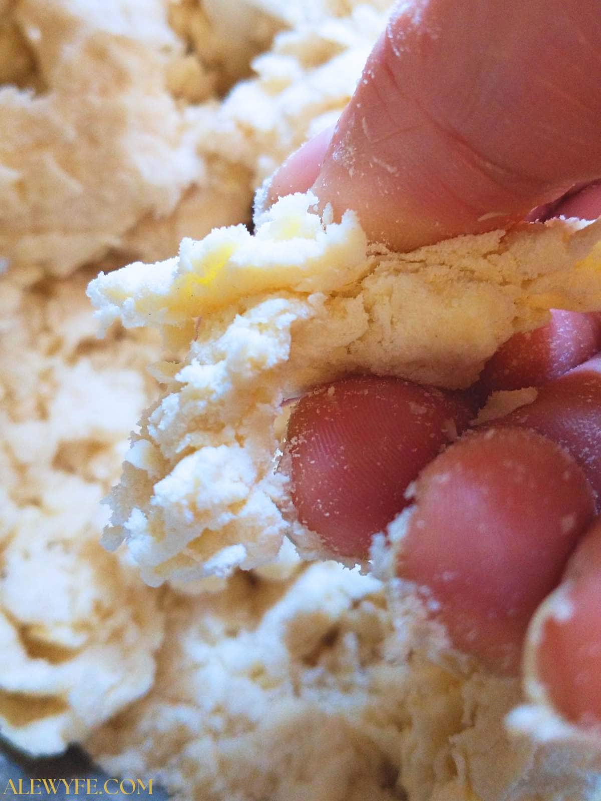 squeezing a piece of pie dough between your fingers to check the moisture level- it should just hold together without being wet