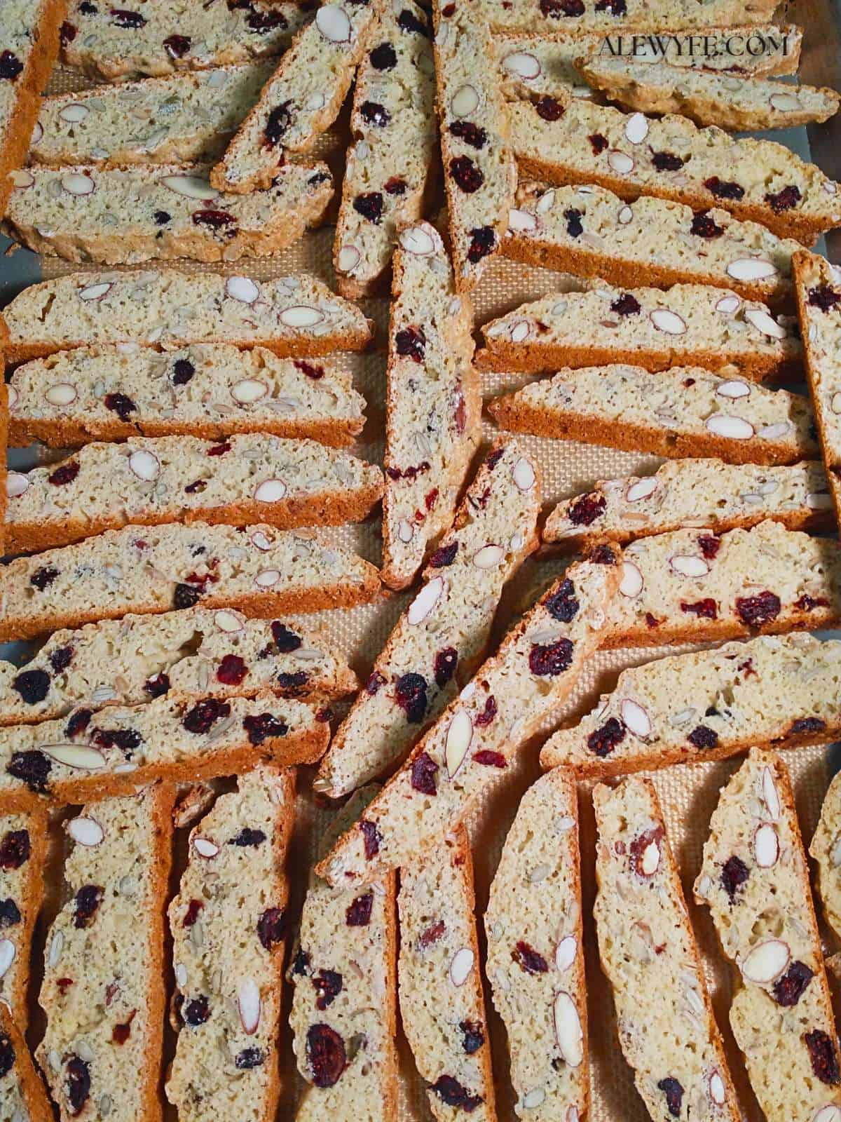 a baking sheet tray full of spiced cranberry nut biscotti.
