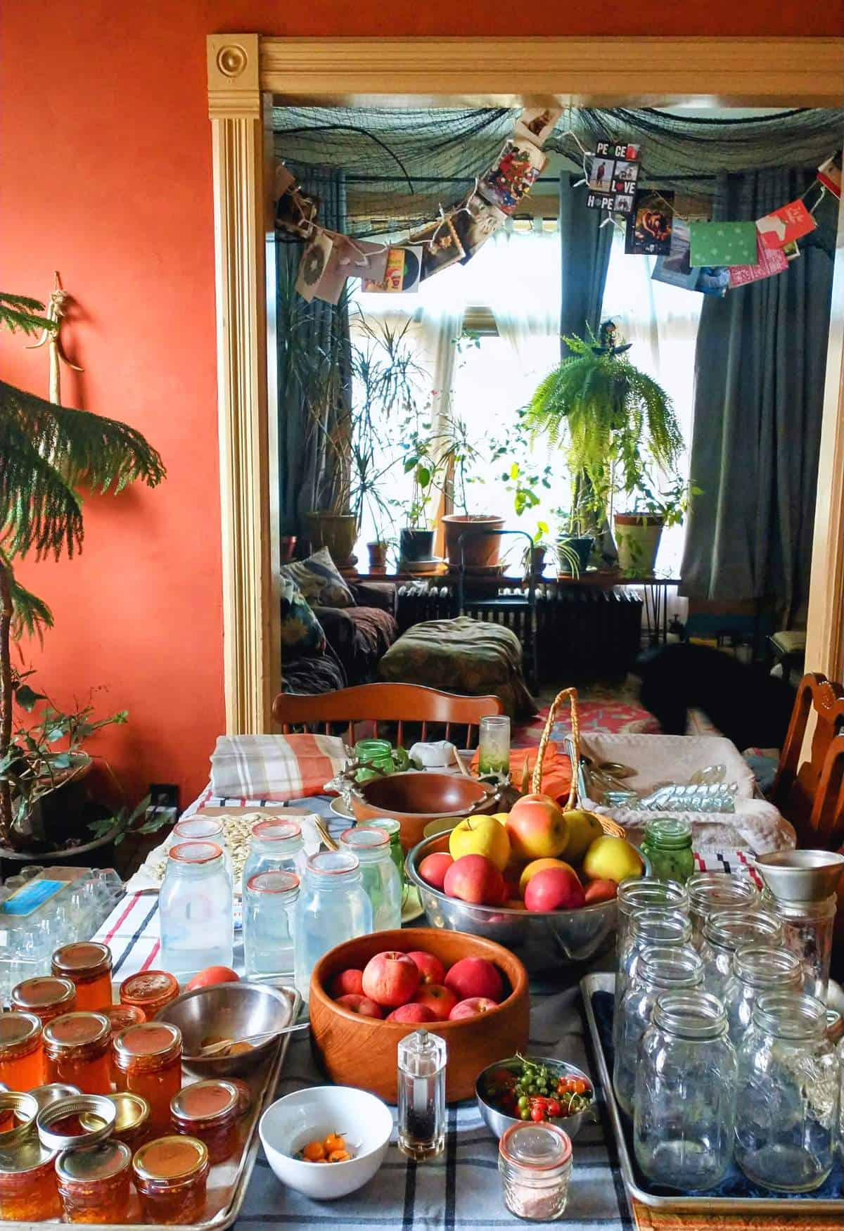 A still-life scene. A dining room table in a richly colored room is piled with bowls of apples, jars of homemade mae ploy, and empty mason jars. A sunlit window is in the background lined with plants, and a hanging garland of holiday cards is in the doorway between the rooms. 