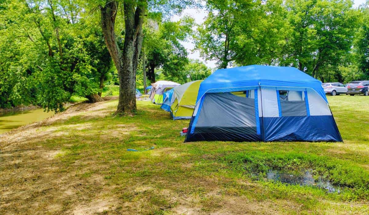 A row of large camping tents set up high on a grassy sand bank under trees above a lazy creek.
