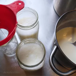 FERMENT: How to Make Homemade Yogurt (without a Yogurt Maker)