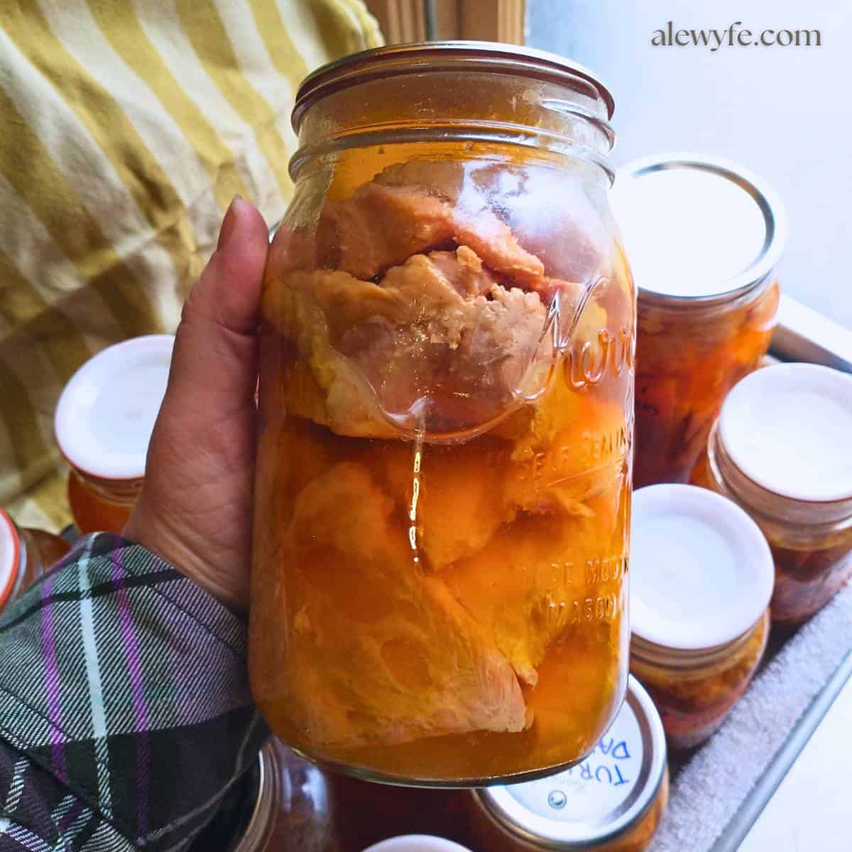 a hand holding a quart canning jar with chunks of turkey breast in golden colored broth. In the background is a tray with more jars of turkey.