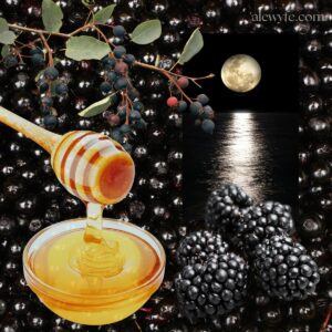 an image collage with ingredients in black night melomel (a wildberry mead).
