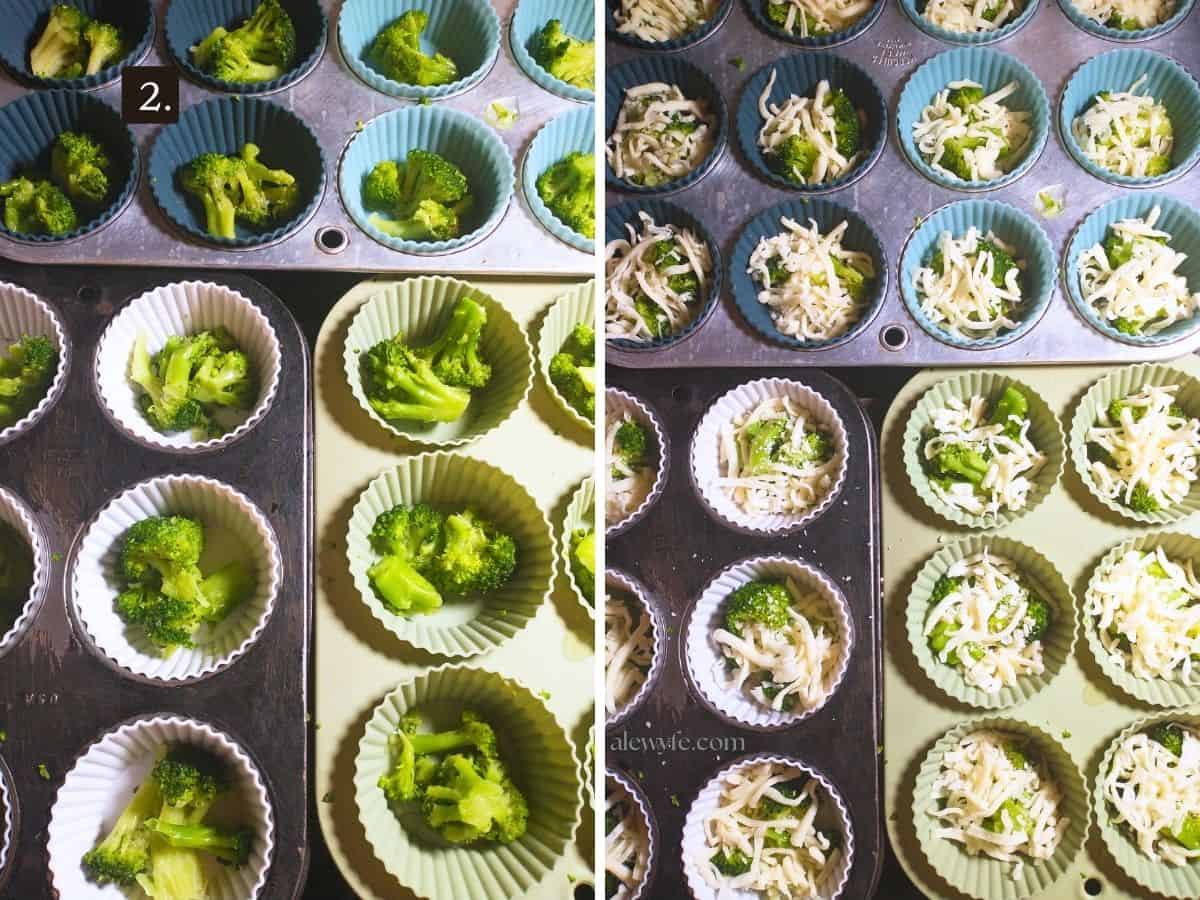 muffin tins filled with broccoli and cheese.